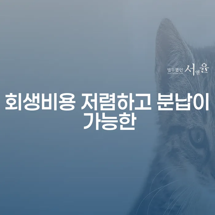 개인회생법무사 대출 받은 돈채무조정 살고있는