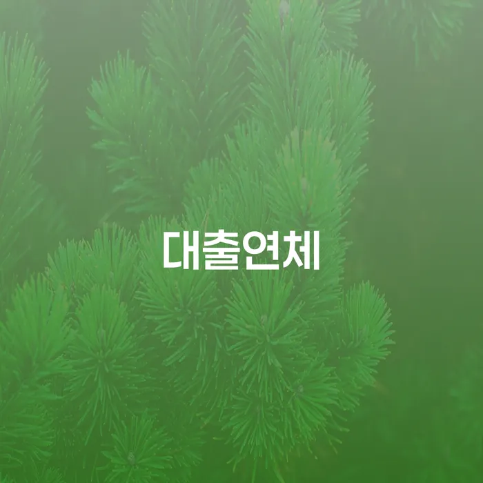 고금리대출 연체 시 빚독촉 어떻게 해야