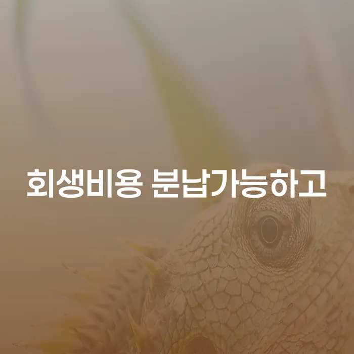 개인회생폐지 후 재신청 추심 대응법 비교해보기