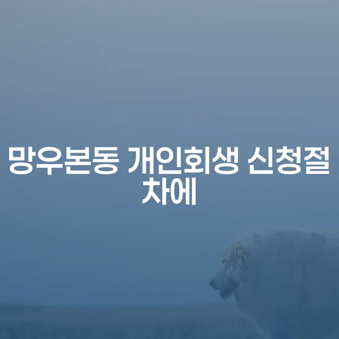 망우본동 개인회생 신청절차에