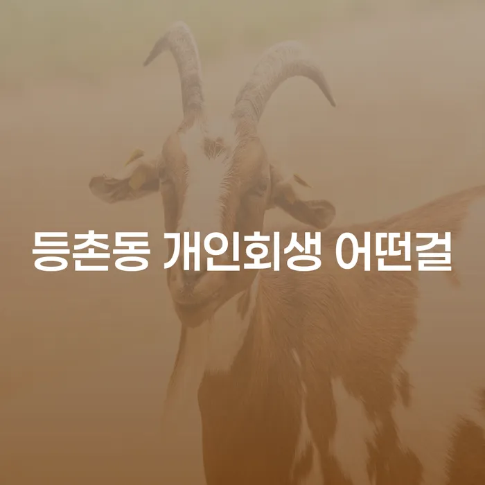 등촌동 개인회생 어떤걸