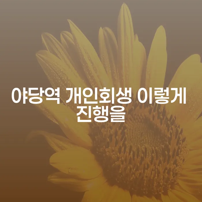 야당역 개인회생 이렇게 진행을
