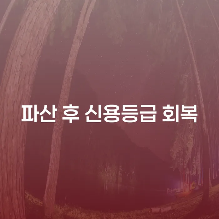 파산 후 신용등급 회복, 어떻게 해야 할까요?