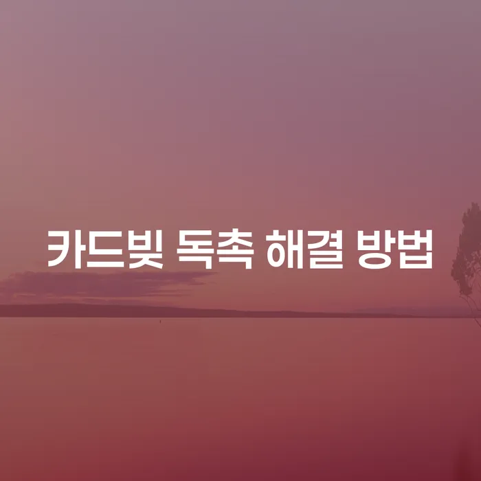 카드빚 독촉 해결 방법, 어떻게 하면 좋을까요?