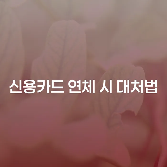 신용카드 연체 시 어떻게 대처해야 할까요?