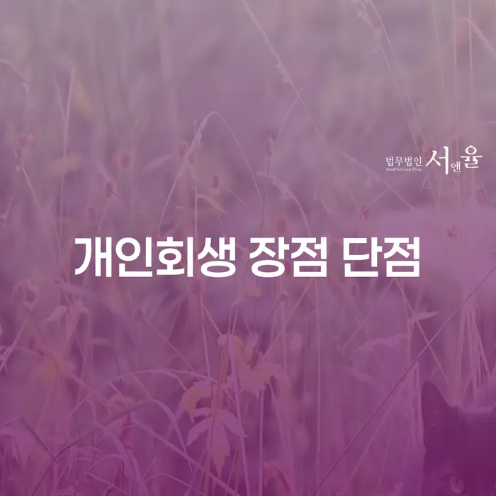 인수동 개인회생 절차와 장단점 분석