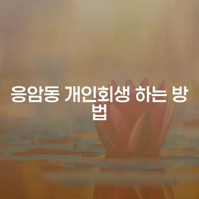 응암동 개인회생 어떻게 신청해야 할까요?