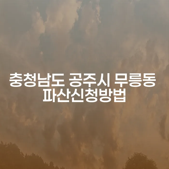충청남도 공주시 무릉동에서 파산신청을 고려할 때 알아야 할 사항들