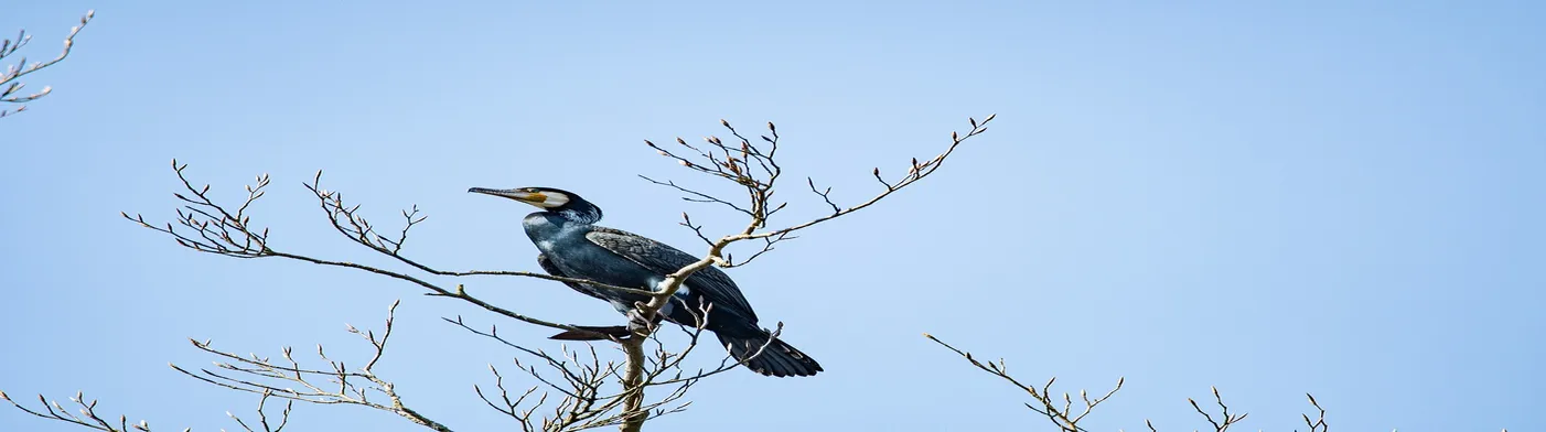법무법인 서앤율