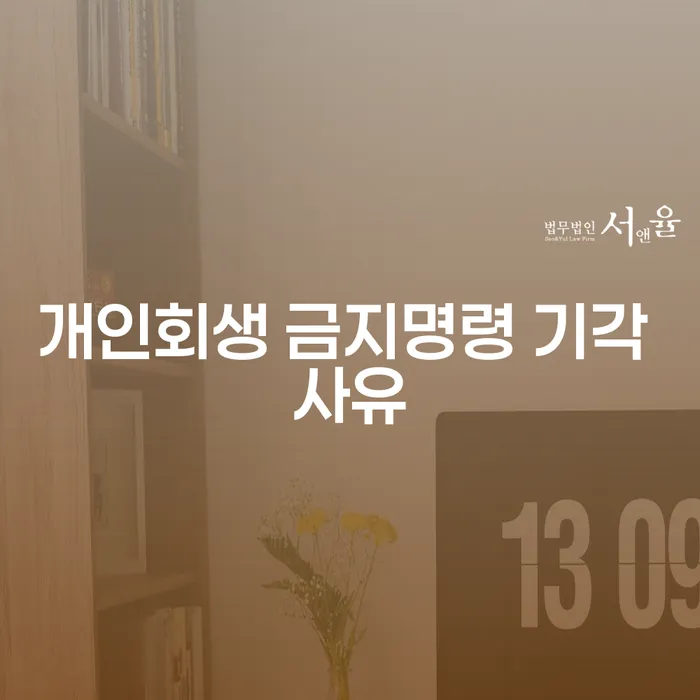 개인회생 금지명령 기각 사유가 궁금하세요?